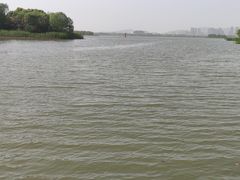 -长广溪湿地公园