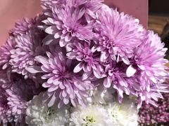 -Dragonfly悠庭·按摩Spa(静安嘉里中心店)
