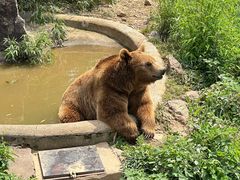 -无锡动物园·太湖欢乐园