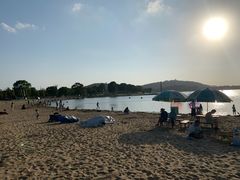 -上海月湖雕塑公园