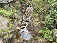 -大奇山国家森林公园