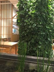 -悦诗风吟innisfree