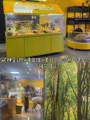 -神奇动物撸宠馆·羊驼·小浣熊·异宠(豫园店)