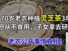 -上海静安昆仑大酒店