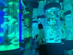 -石林冰雪海洋世界