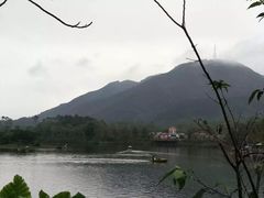 -田野绿世界