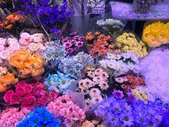 -花鸟鱼虫鲜花绿植市场(玉泉路店)