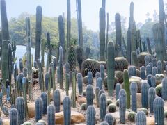 -深圳仙湖植物园