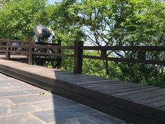 -洈水景区