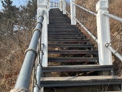 -石老人观光园
