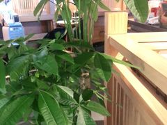 -九田家黑牛烤肉料理(溧阳吾悦店)