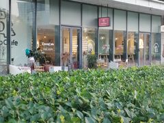 -Dinoo 片场咖啡(酒仙桥店)