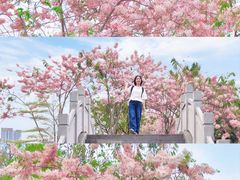 -四海公园(南山区)