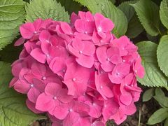 -常州古运河南大街文化旅游区-人民公园