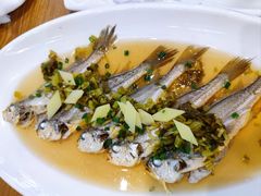 小黄鱼-501號台州海鲜餐厅(海创园店)