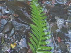 -西岭雪山大飞水景区