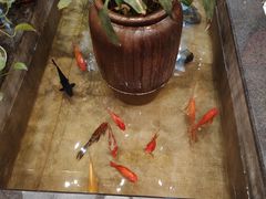 -川香鼎盛·川府家宴商务宴请(市桥富华总店)