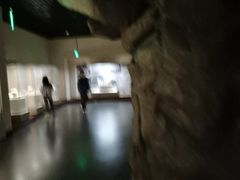 -嘉定博物馆