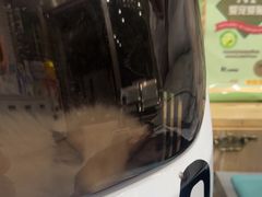 -四月宠物医院·猫专科·心脏专科·内科(转塘店)