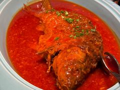 -阿五黄河大鲤鱼(英协路店)