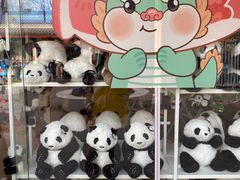 -杭州少年儿童公园