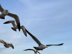 -大连君悦酒店·星海湾壹号Dalian·Dalian(星海广场店)