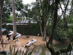 -费瑟代尔野生动物园