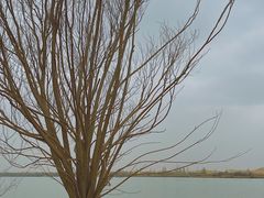 -亿利库布其七星湖沙漠生态旅游区