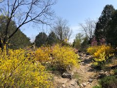 -国家植物园南园