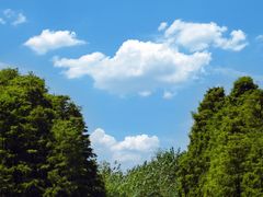 -池杉湖湿地公园