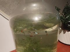 -渝信川菜 · 川味家常菜(财富购物中心店)