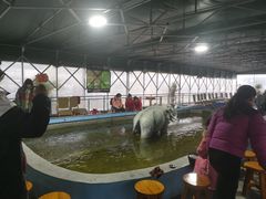 -光头佬钓虾场·烧烤·聚餐·亲子(金沙洲店)