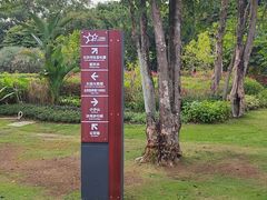 -深圳湾公园(南山区)