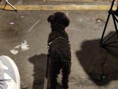 -金铂广场(龙归店)