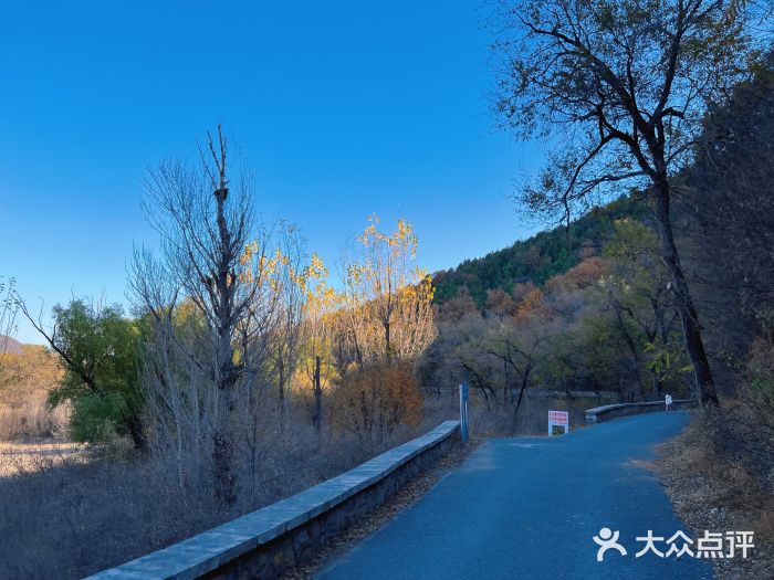 唐指山风景区图片