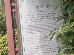 -杏花村文化旅游区