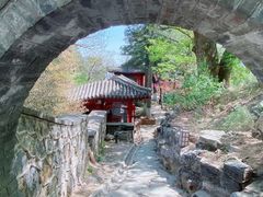 -大觉寺-停车场