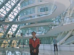 -凤凰中心