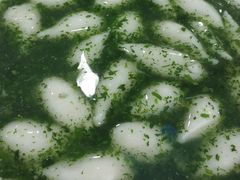 -草庐酒家