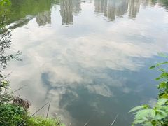 -重庆彩云湖湿地公园