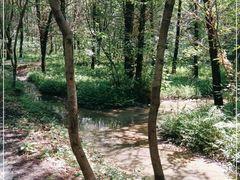 -同里国家湿地公园