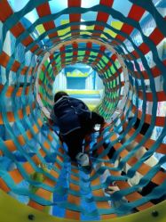 -佳贝爱益智主题儿童乐园(乐尔乐旗舰店)