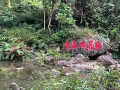-千泷沟大瀑布旅游区