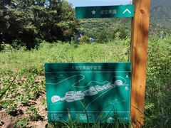 -红星坪温泉精品酒店