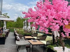 -Hatsune隐泉日式料理(三里屯太古里店)