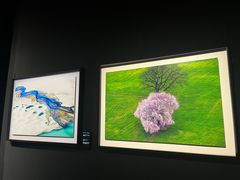 -罗红摄影艺术馆