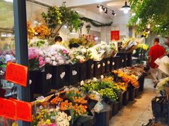 -溪岸路花鸟市场