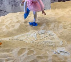 -恐龙探索乐园(磁器口店)