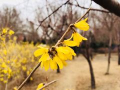 -长春公园(普阳街道)