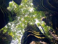 -梭布垭石林景区